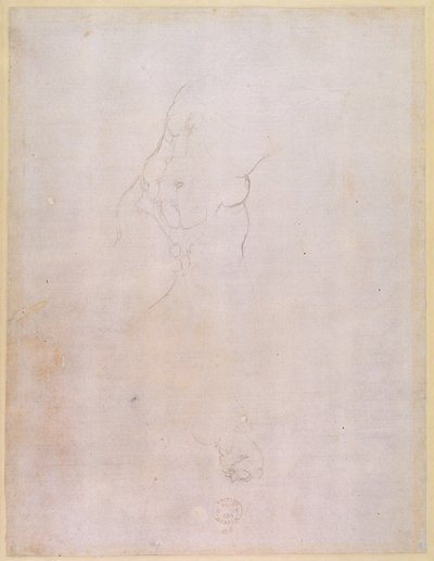 Studie eines männlichen Torsos (verso) von Michelangelo Buonarroti